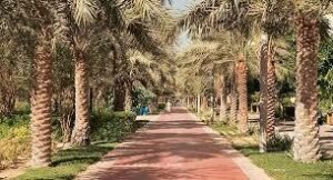 Explore Al Ittihad Park: A Green Haven in&hellip;