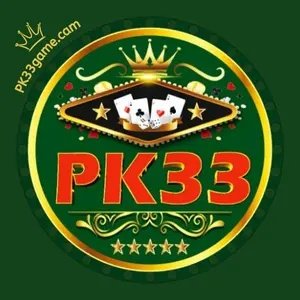 Pk33 – Fast Online Income App in Pakistan